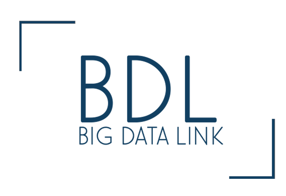 Data link LOGO